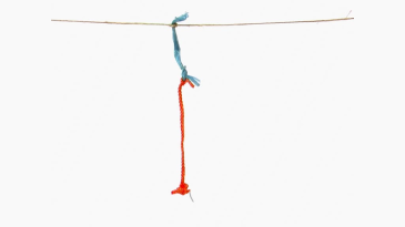 thumbnail of medium Ableger