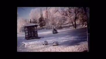 thumbnail of medium Trophäen des Alltags II