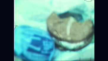 thumbnail of medium Skip in Toronto