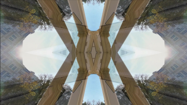 thumbnail of medium The Rorschach Tracks - Reflections on Vienna