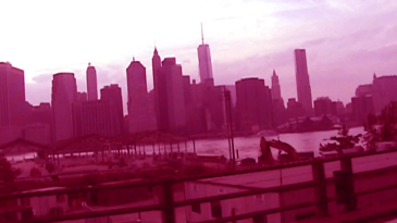 thumbnail of medium What is Love?