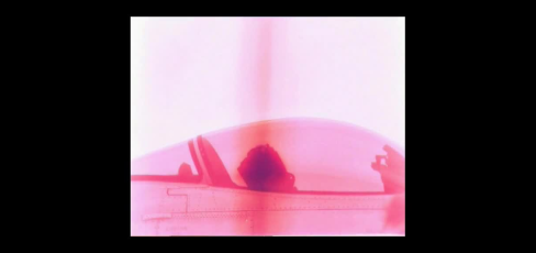 thumbnail of medium falcon