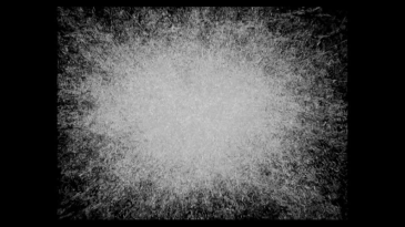 thumbnail of medium Vergina Sun