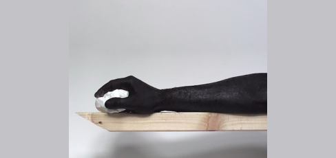 thumbnail of medium Vektor