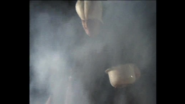 thumbnail of medium Liebeserklärung