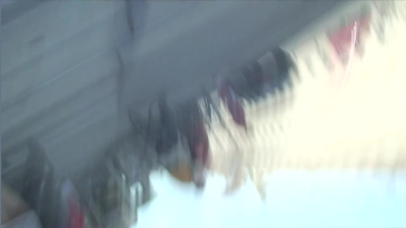 thumbnail of medium 23 DISTRICT WALKS - Alser Straße