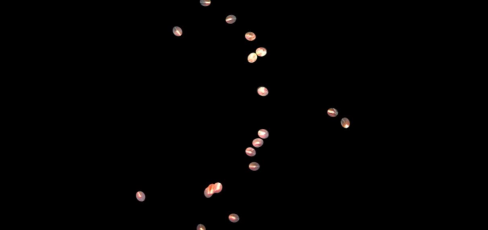 thumbnail of medium Lunte