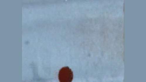 thumbnail of medium Monitor