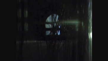 thumbnail of medium Die Daumenlutscherin