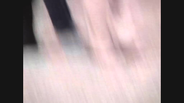 thumbnail of medium FLITZER