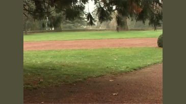 thumbnail of medium The Park