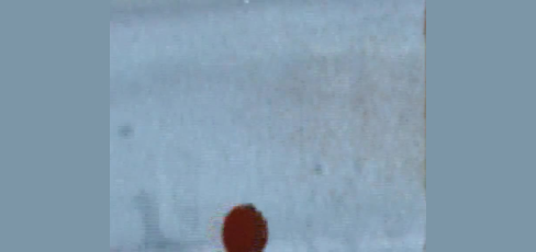 thumbnail of medium Monitor