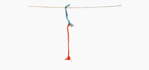 thumbnail of medium Ableger