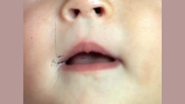 thumbnail of medium A shut mouth catches no Flies