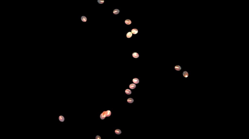 thumbnail of medium Lunte