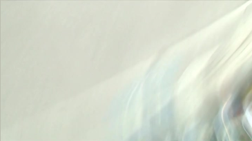 thumbnail of medium 23 DISTRICT WALKS - Ringstraße