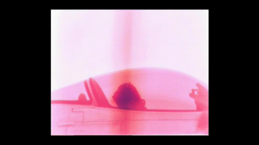 thumbnail of medium falcon