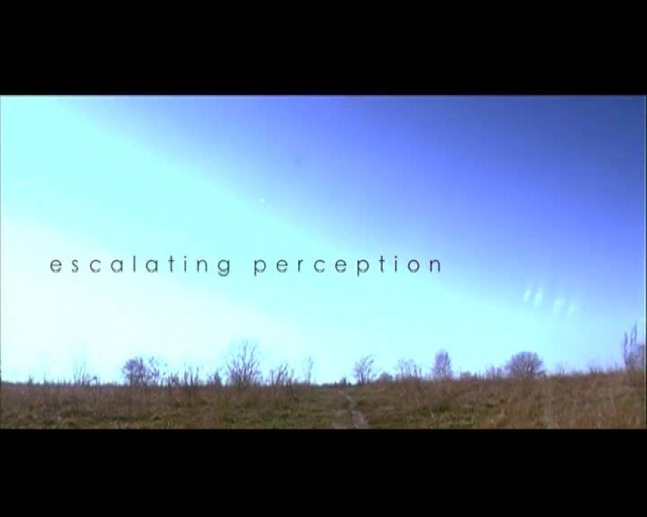 Escalating perception / The Path