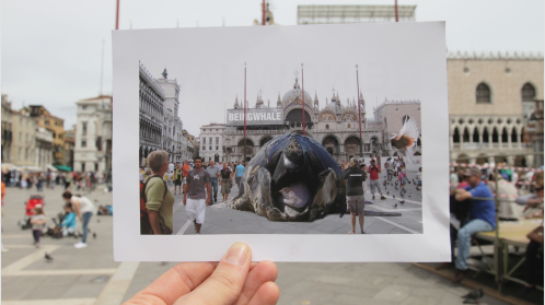 thumbnail of medium Beingwhale