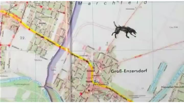 thumbnail of medium Looking for Love