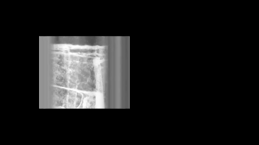 thumbnail of medium Structural Filmwaste. Dissolution 1