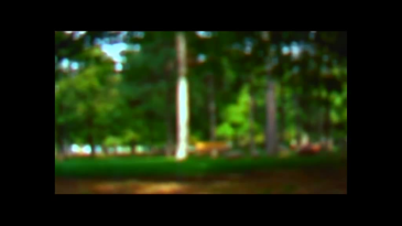 thumbnail of medium Seven-Hundred-Forty-Five